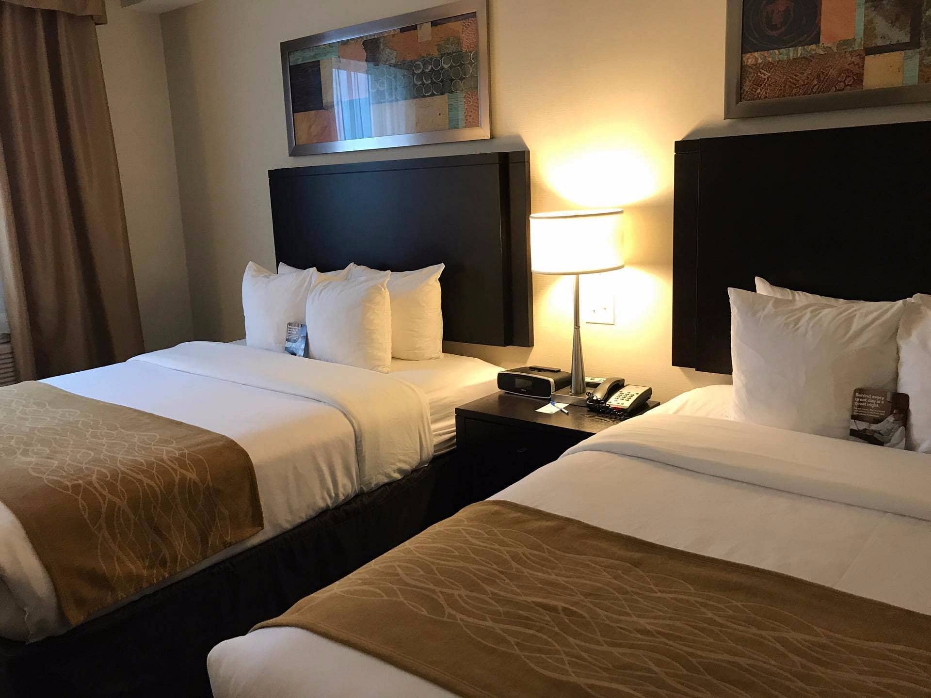 Cozy double queen room at Comfort Hotel Bayers Lake featuring two comfortable beds with golden-brown throws modern headboards bedside table and soft ambient lighting