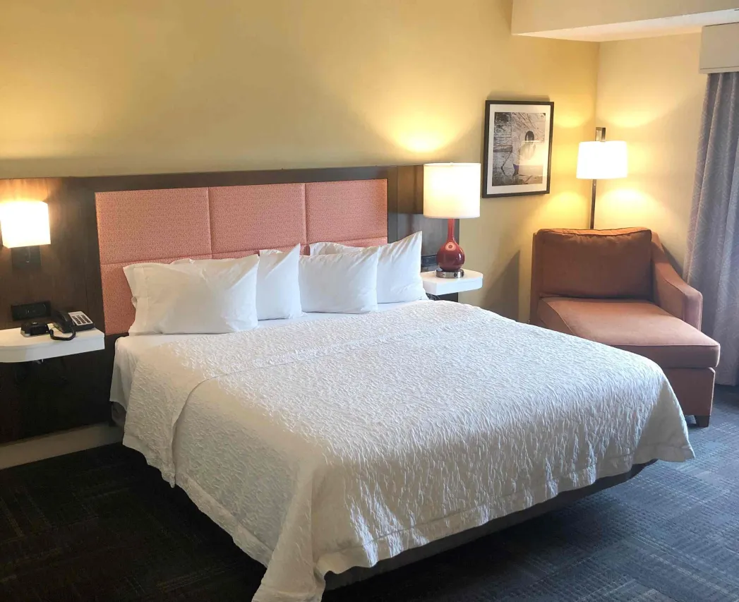 Hampton Inn  Suites Norfolk-Airport - Cozy king suite with modern decor perfect for travelers near Norfolk Airport