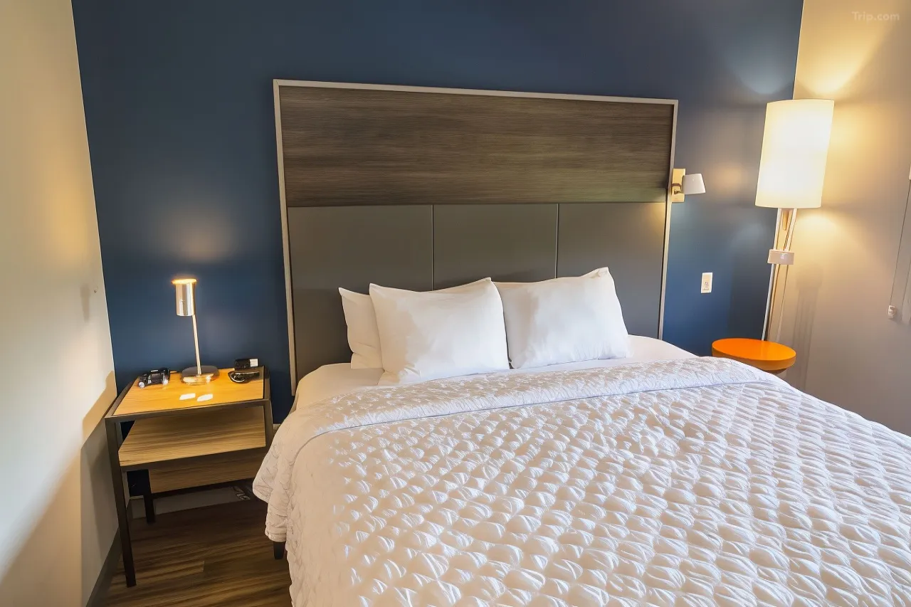 Tru by Hilton Norfolk Airport - Stylish room with a cozy bed modern lighting and vibrant decor near Norfolk Airport